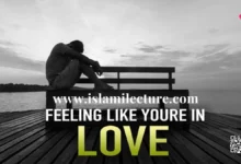 When You Feel Like You Are In Love - Islami Lecture