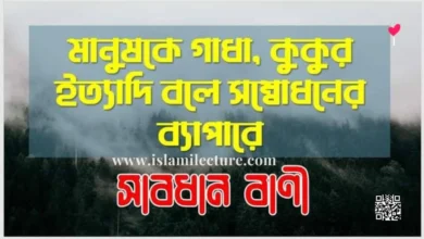 মানুষকে গাধা কুকুর বলে সম্বোধনের ব্যাপারে সাবধান