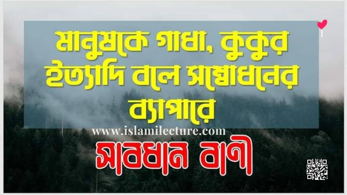 মানুষকে গাধা কুকুর বলে সম্বোধনের ব্যাপারে সাবধান