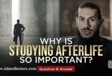 Why Is Studying The Afterlife So Important - Islami Lecture