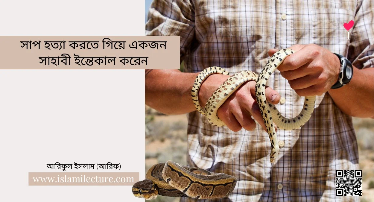 সাপ হত্যা করতে গিয়ে সাহাবী ইন্তেকাল করেন - Islami Lecture