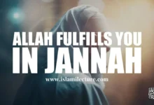 How Allah Will Fufill You In Jannah - Islami Lecture