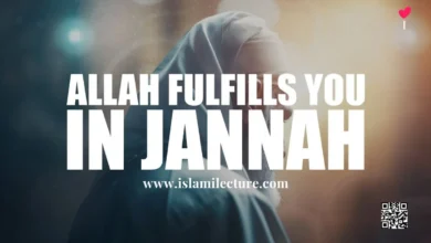 How Allah Will Fufill You In Jannah - Islami Lecture